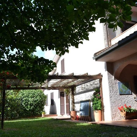 Agriturismo Piana Arborello Hotel Magliano in Toscana Exterior foto