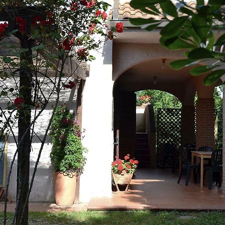 Agriturismo Piana Arborello Hotel Magliano in Toscana Exterior foto