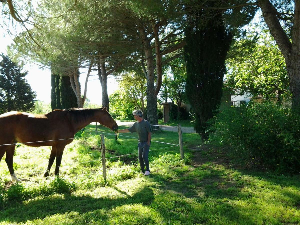 Agriturismo Piana Arborello Hotel Magliano in Toscana Exterior foto