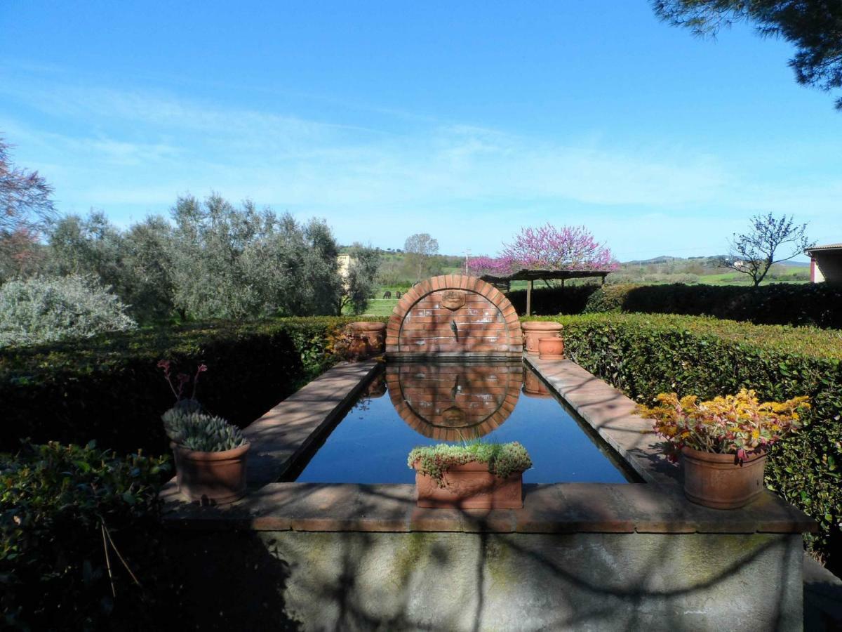 Agriturismo Piana Arborello Hotel Magliano in Toscana Exterior foto