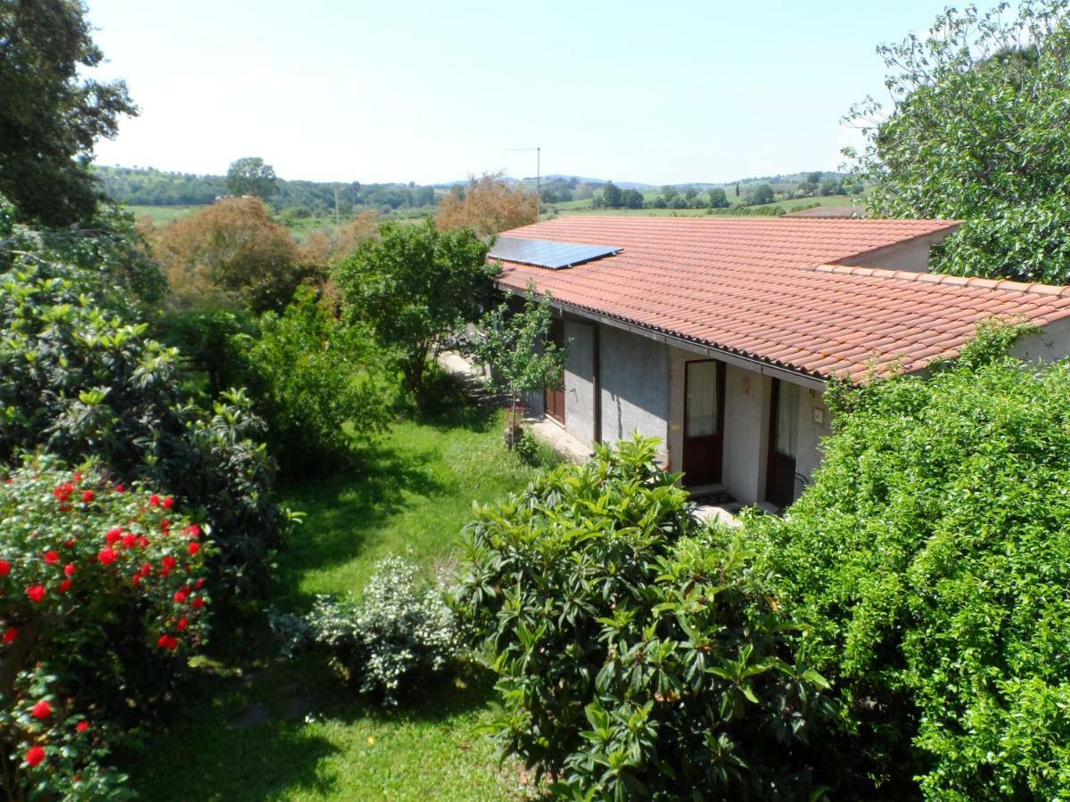 Agriturismo Piana Arborello Hotel Magliano in Toscana Exterior foto