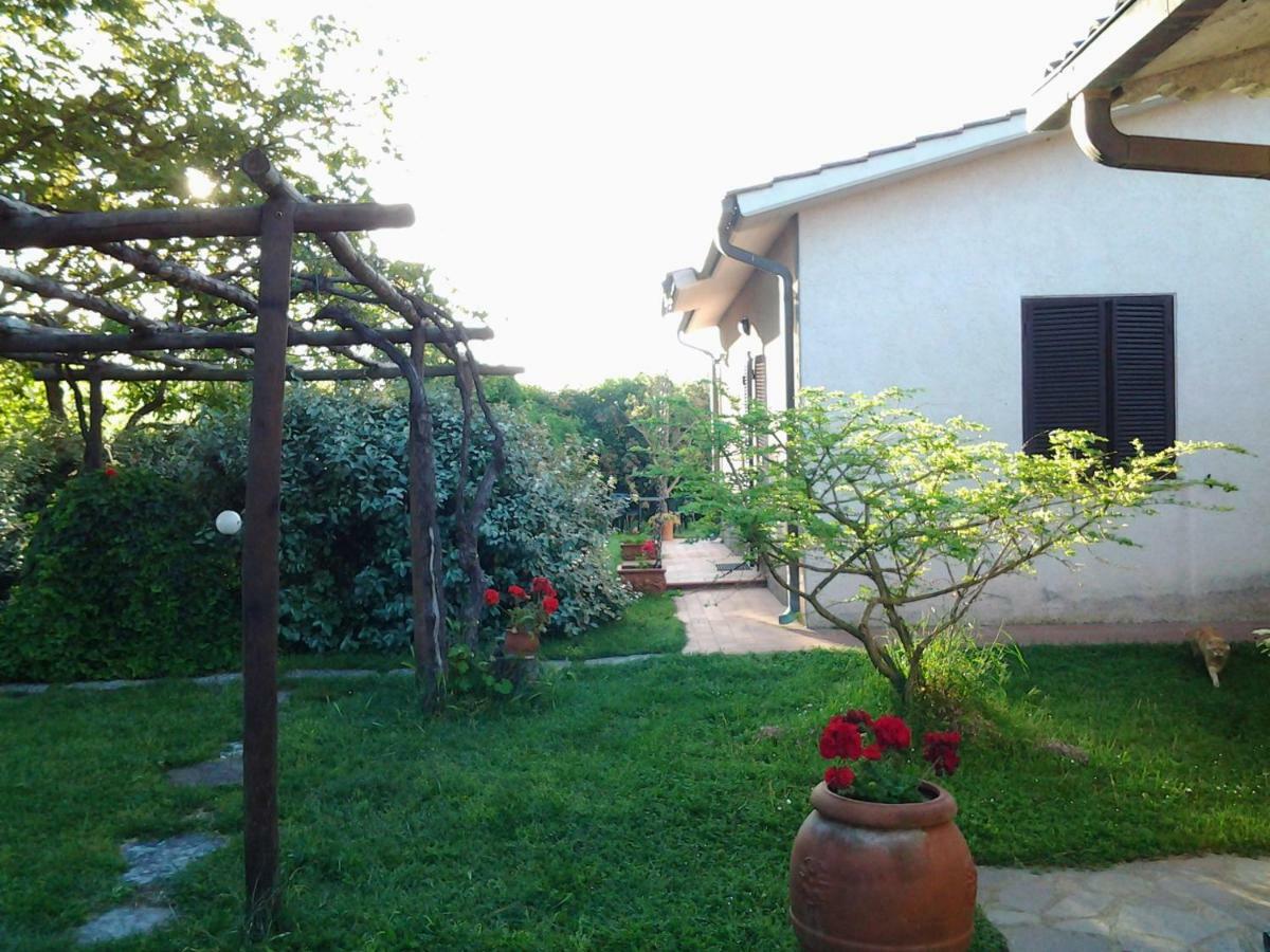 Agriturismo Piana Arborello Hotel Magliano in Toscana Exterior foto