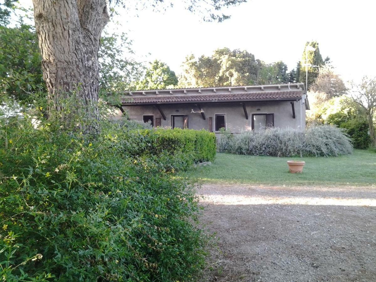 Agriturismo Piana Arborello Hotel Magliano in Toscana Exterior foto