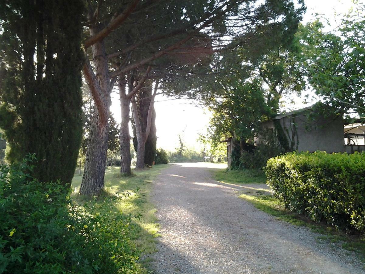 Agriturismo Piana Arborello Hotel Magliano in Toscana Exterior foto