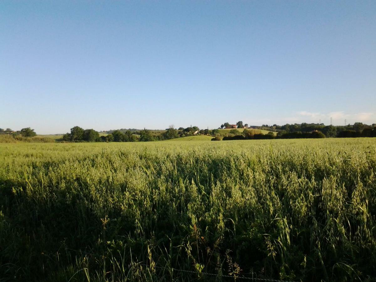 Agriturismo Piana Arborello Hotel Magliano in Toscana Exterior foto